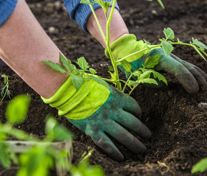 SPEV SOCIETE PERIGORDINE ESPACES VERTS Entretien Espace Vert Lalinde Entretien Des Massifs