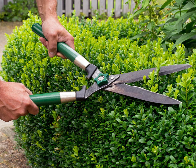 SPEV SOCIETE PERIGORDINE ESPACES VERTS Entretien Espace Vert Lalinde Quipe Polyvalente